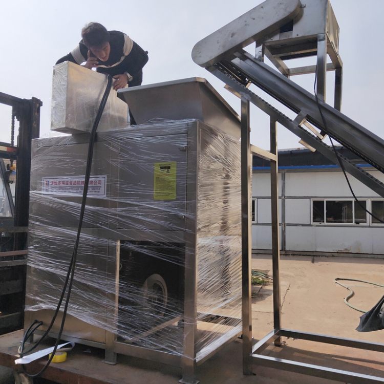 碎肉机碎猪肉,冻盘破碎机器