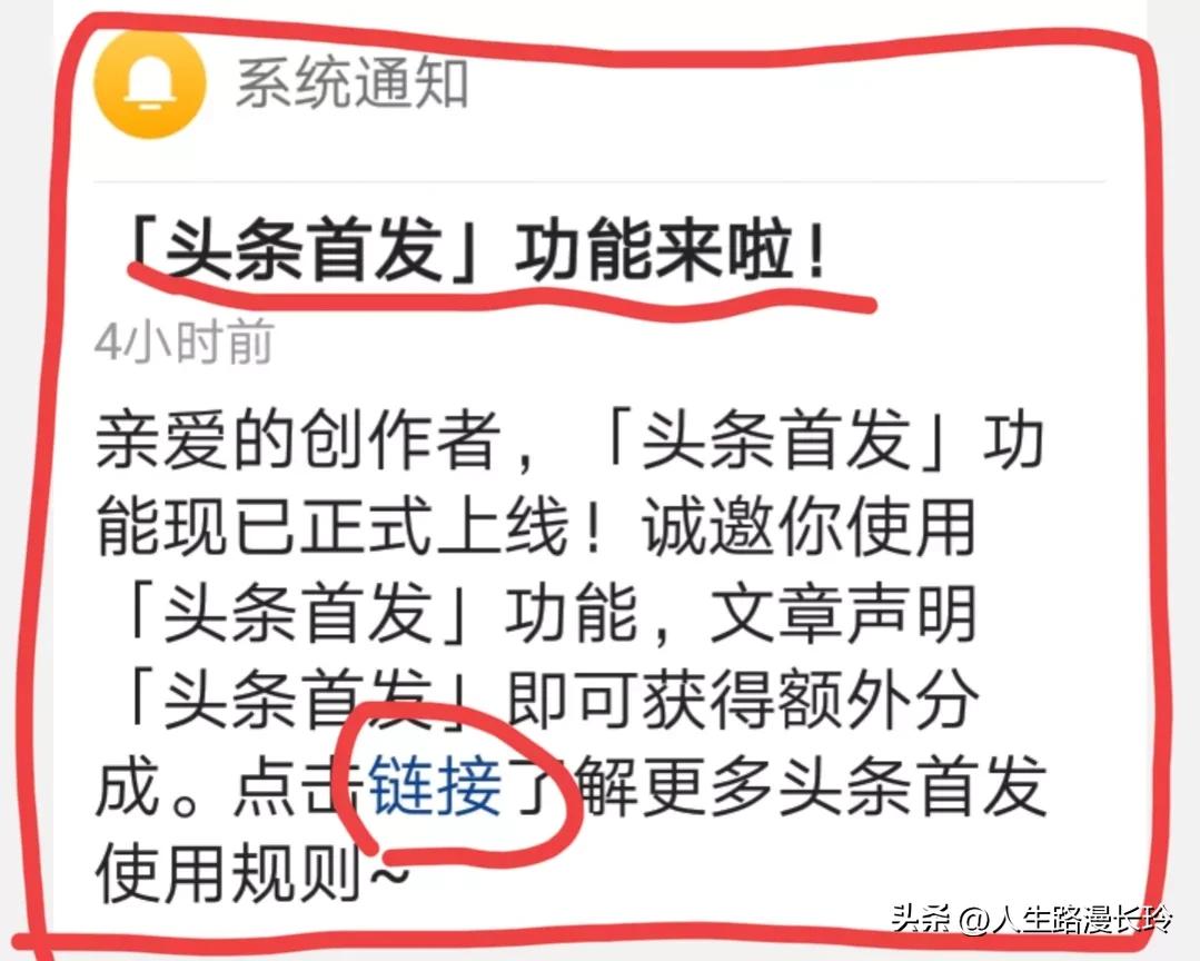 头条原创首发功能在哪里,新品首发喜报