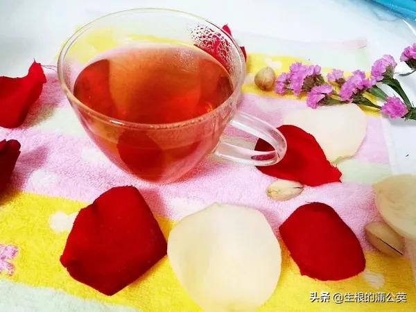 十种可以食用的花,十大适合吃的花