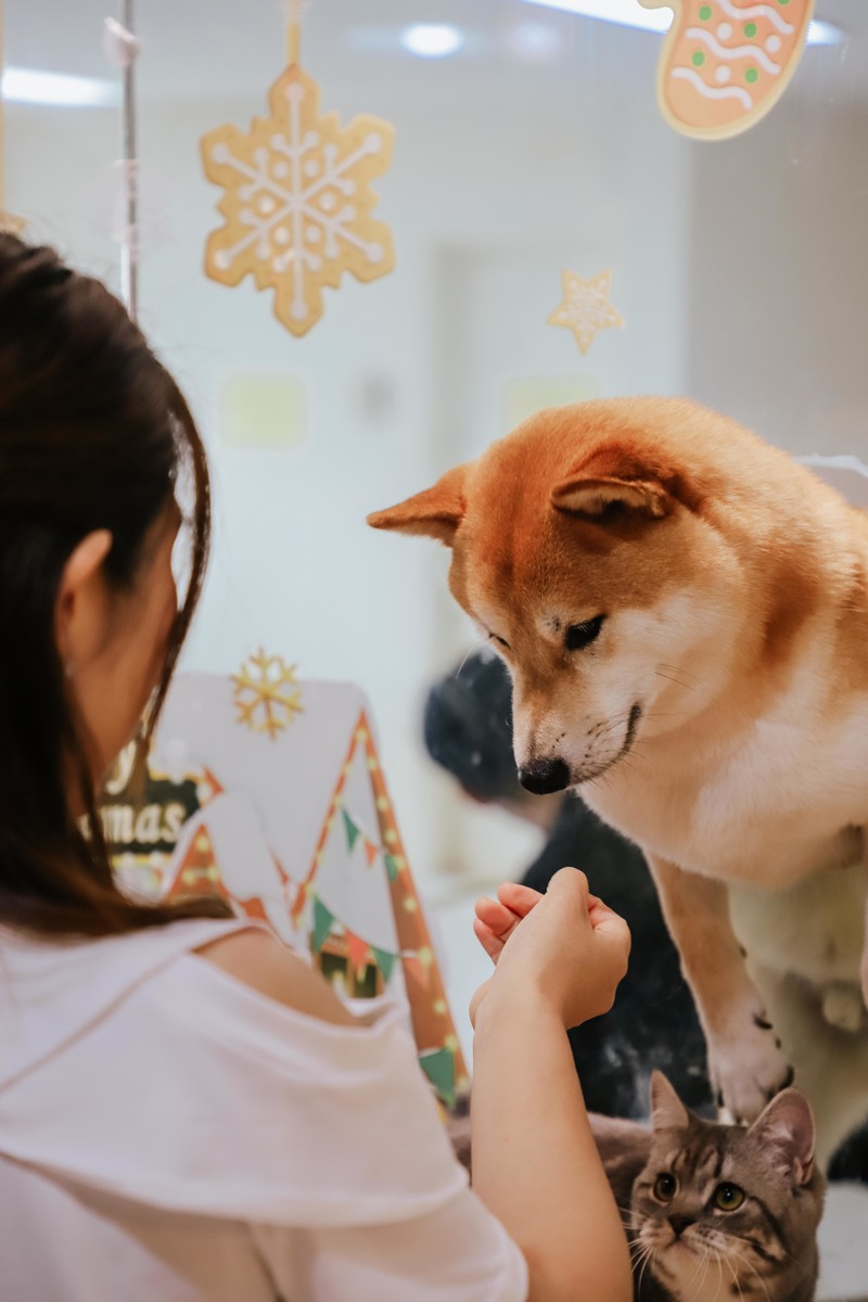 深圳必打卡咖啡馆,深圳罗湖小众咖啡馆