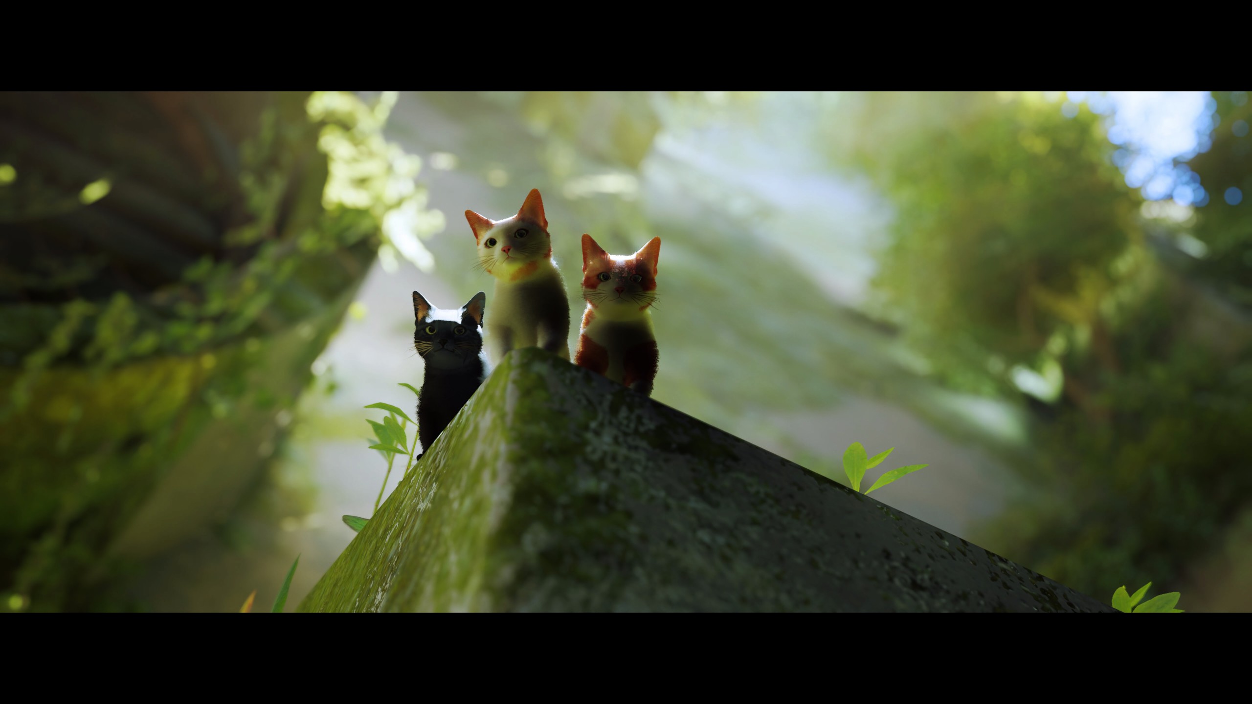 stray新游戏,stray这个游戏怎么样