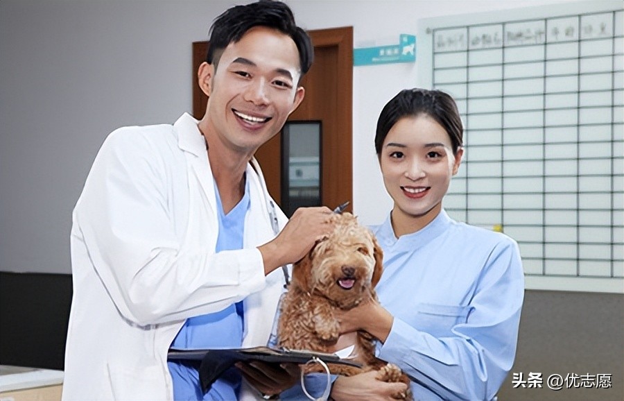 冷门专业中的高薪专业就业率高,十大冷门专业就业率排行