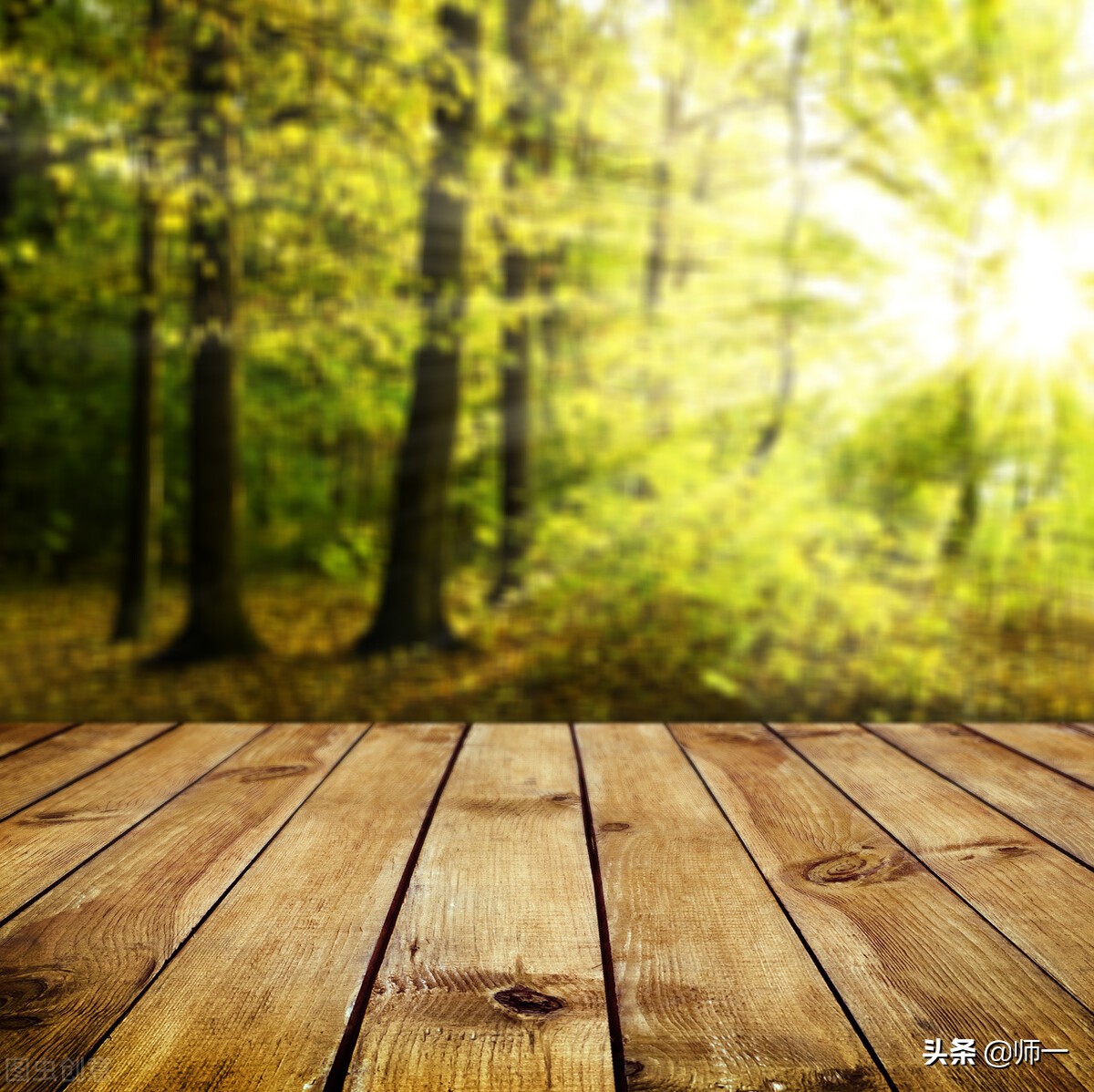 裸猿《道德篇》——自然•人类•科学(作者:詹克明)