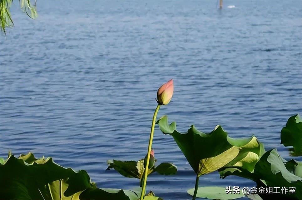 杭州西湖十大美景图片高清,杭州西湖美景照片