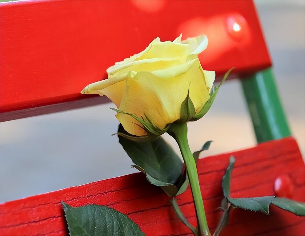 与人交往最怕遇到小人,远离不懂人情往来的人