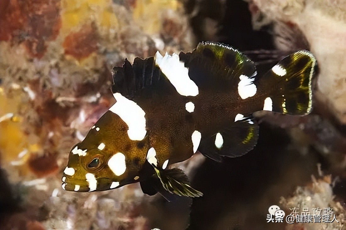 美容护肤食疗方案,美容护肤养生介绍
