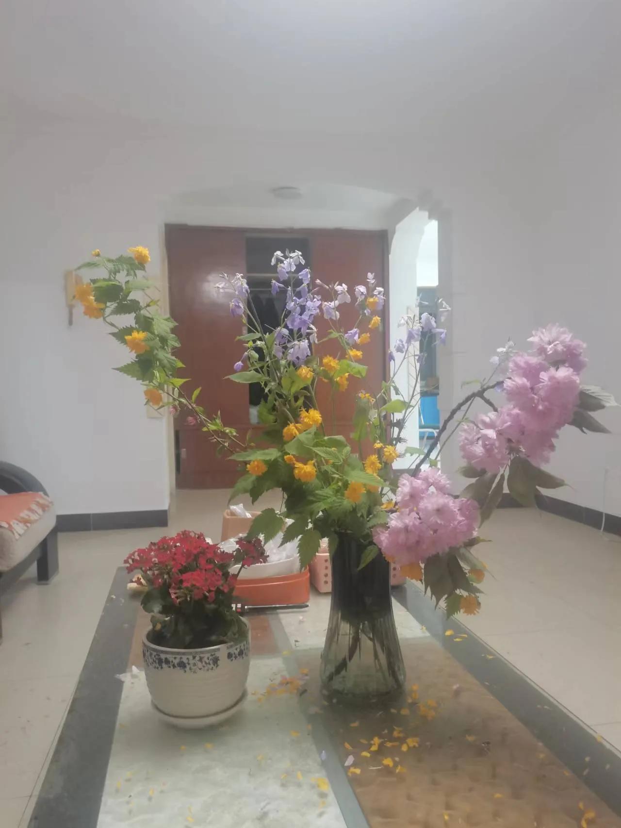 红叶诗五言全文,红叶的诗句古诗大全