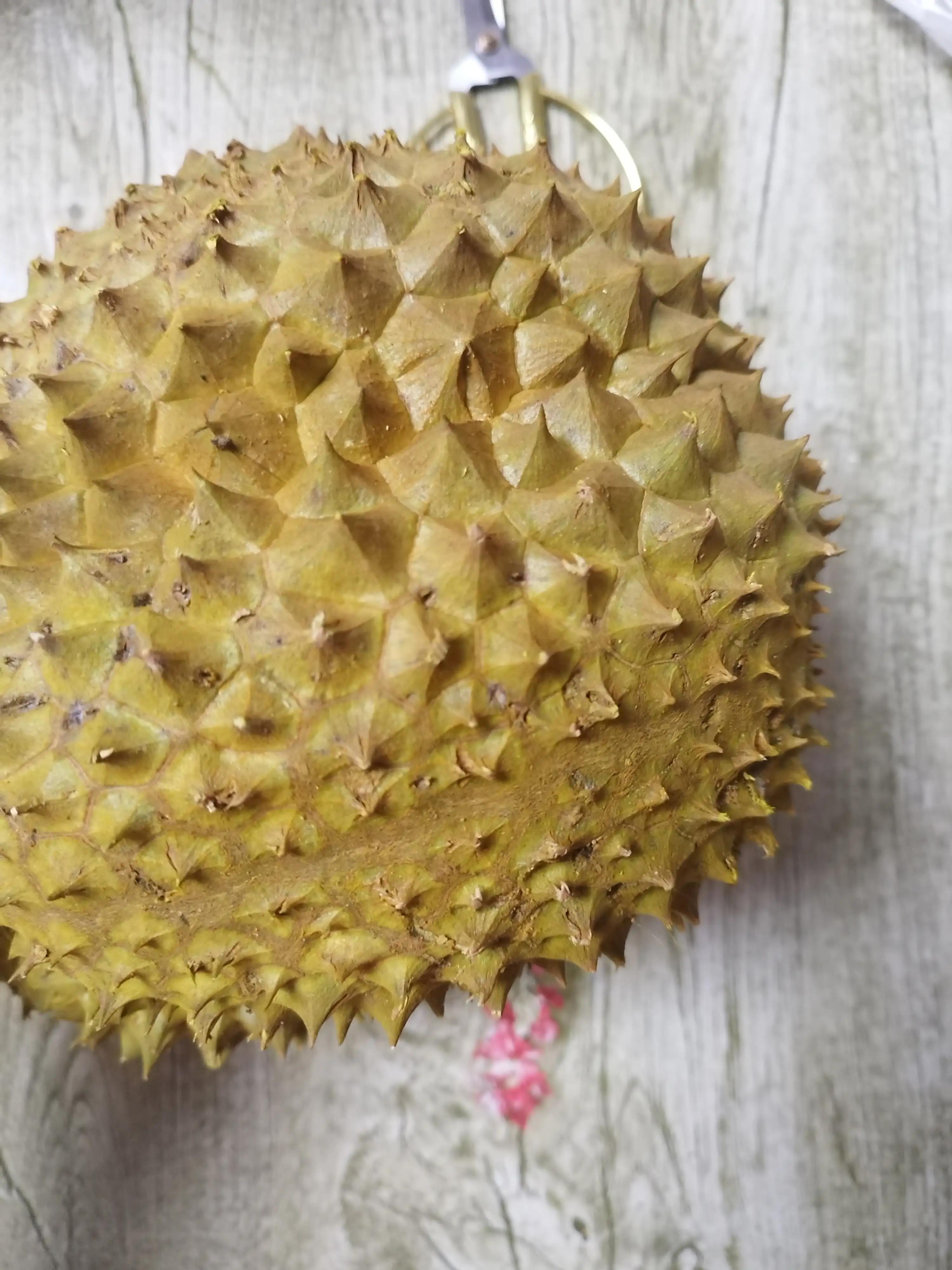 网上这些冷冻榴莲值不值得买,开完的榴莲要放冰箱保鲜吗