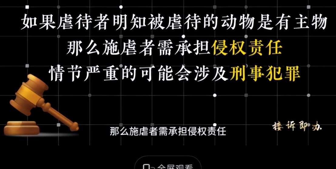 虐猫群体处理,虐猫行为越来越严重