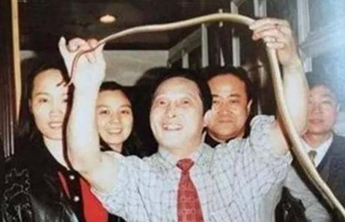 伪气功大师王林现象视频深度剖析,气功大师王林别墅内景航拍