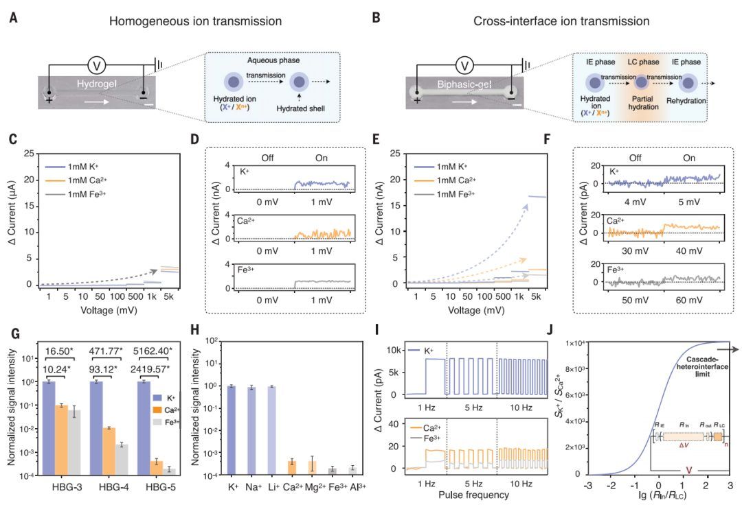中科院理化所,重磅Science!