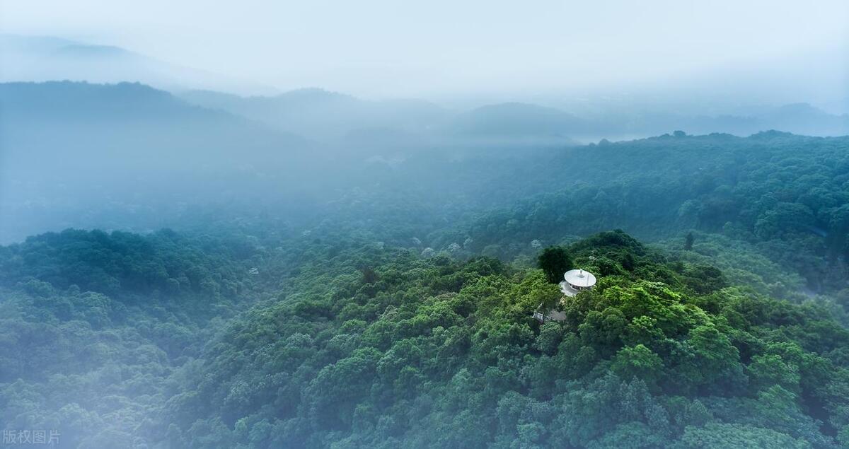 广州北京路步行街老字号美食攻略,广州必吃美食推荐排行榜前十名