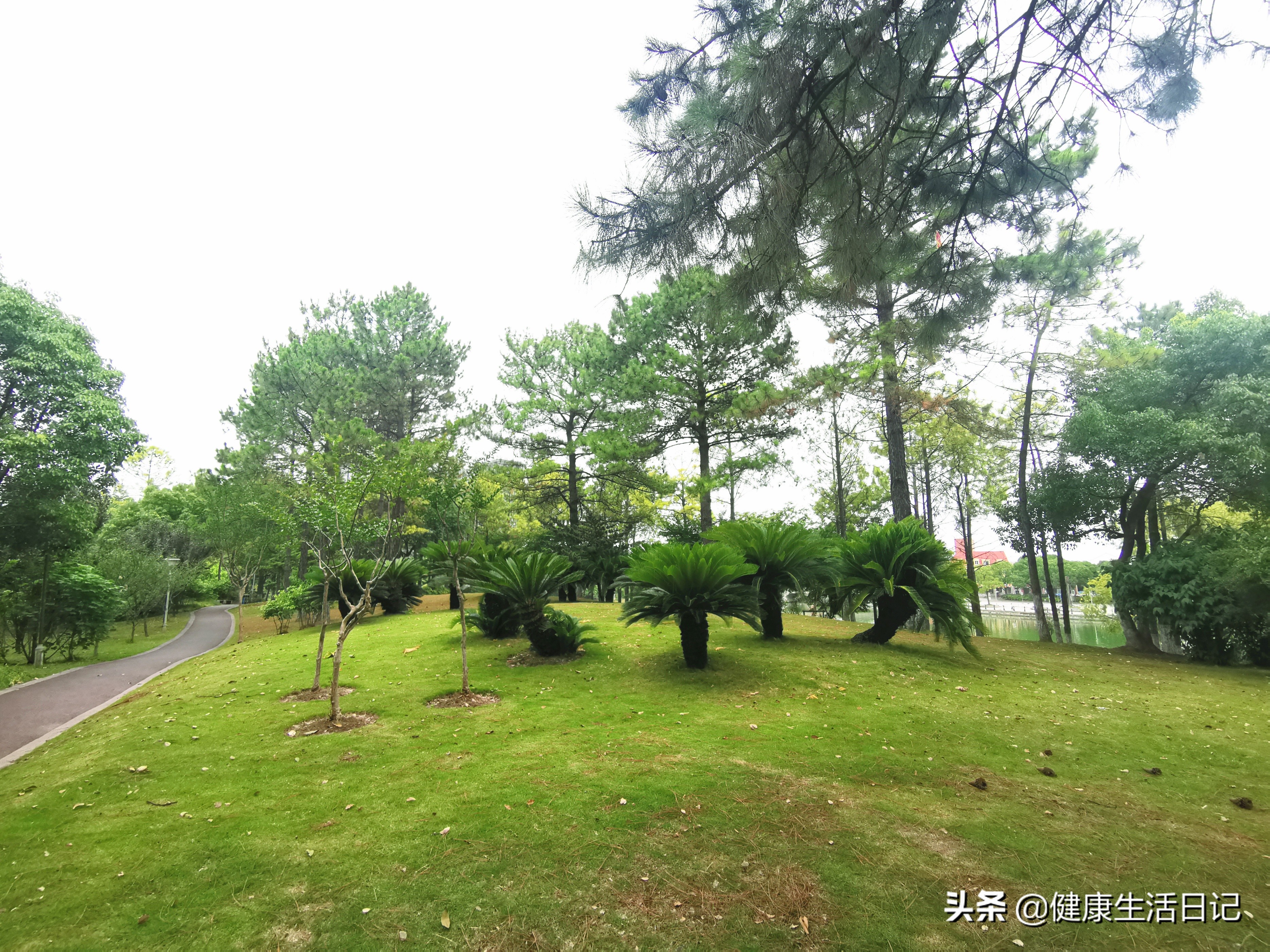 上海美兰湖度假,上海美兰湖好去处