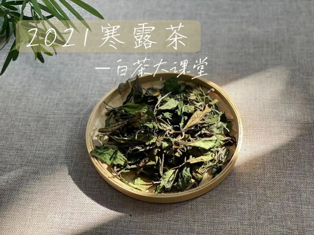 6大茶桌暗语介绍，何为回甘？何为醇厚？何为生津，一次说清