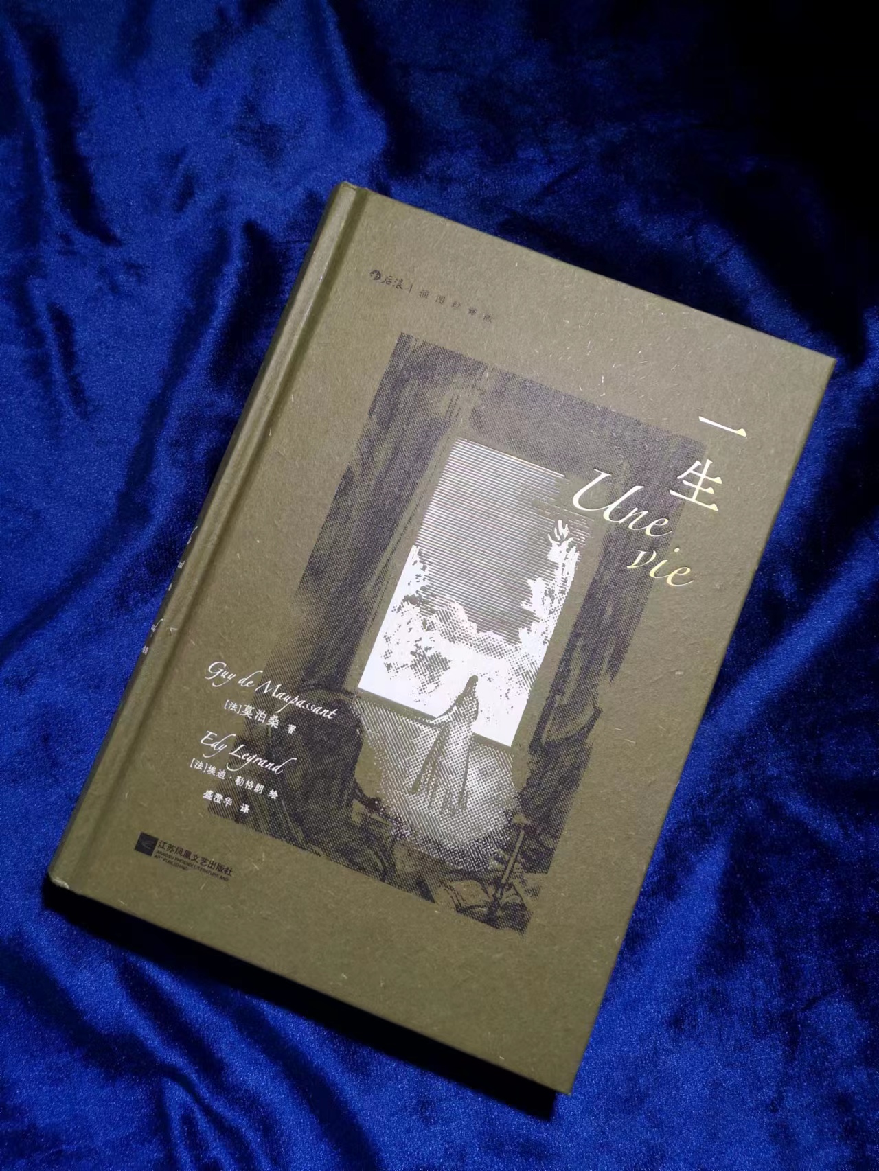 足球评论员贺炜莫泊桑,诗人贺炜莫泊桑煽情足球解说