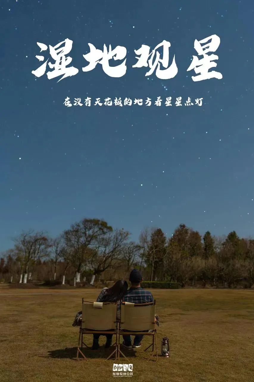 上海沉浸式夜游公园,上海森林公园夜游