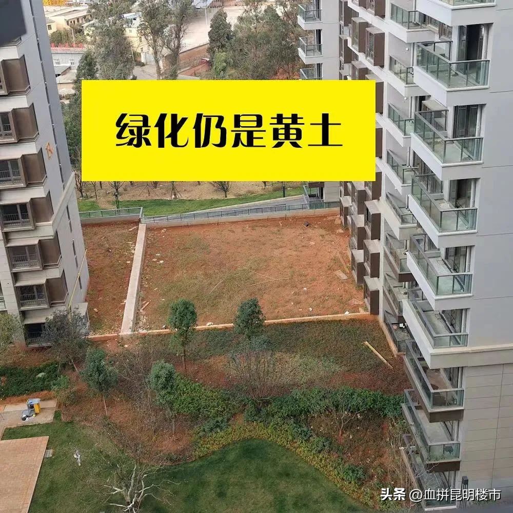 人工草能算绿化面积吗,草坪绿化面积怎么量