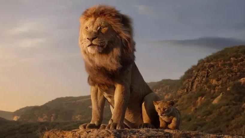 为什么动物都会定期发情，人类女性却要隐藏“发情期”？