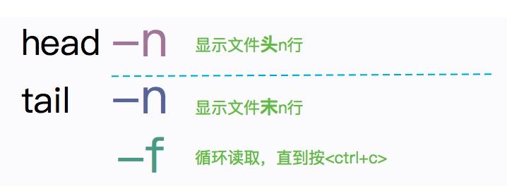 linux鐭ヨ瘑骞茶揣,鐪嬪畬杩欑瘒浣犱竴瀹氳兘鎺屾彙linux
