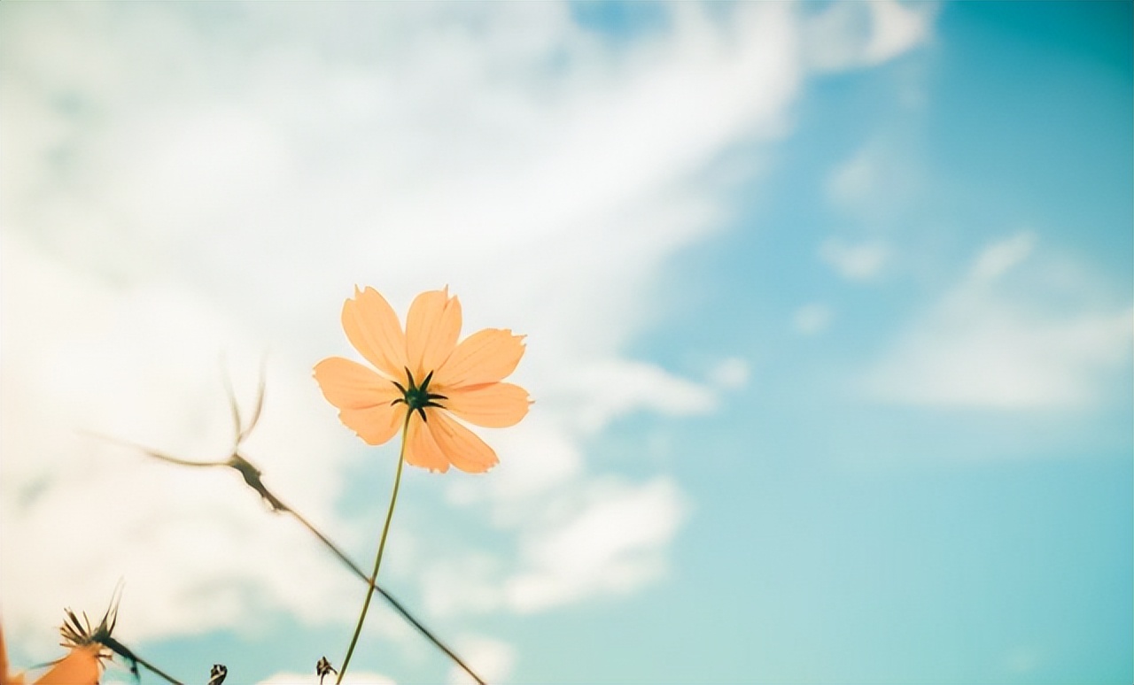 情人相处如何才能长久,情人相处怎么样才不累
