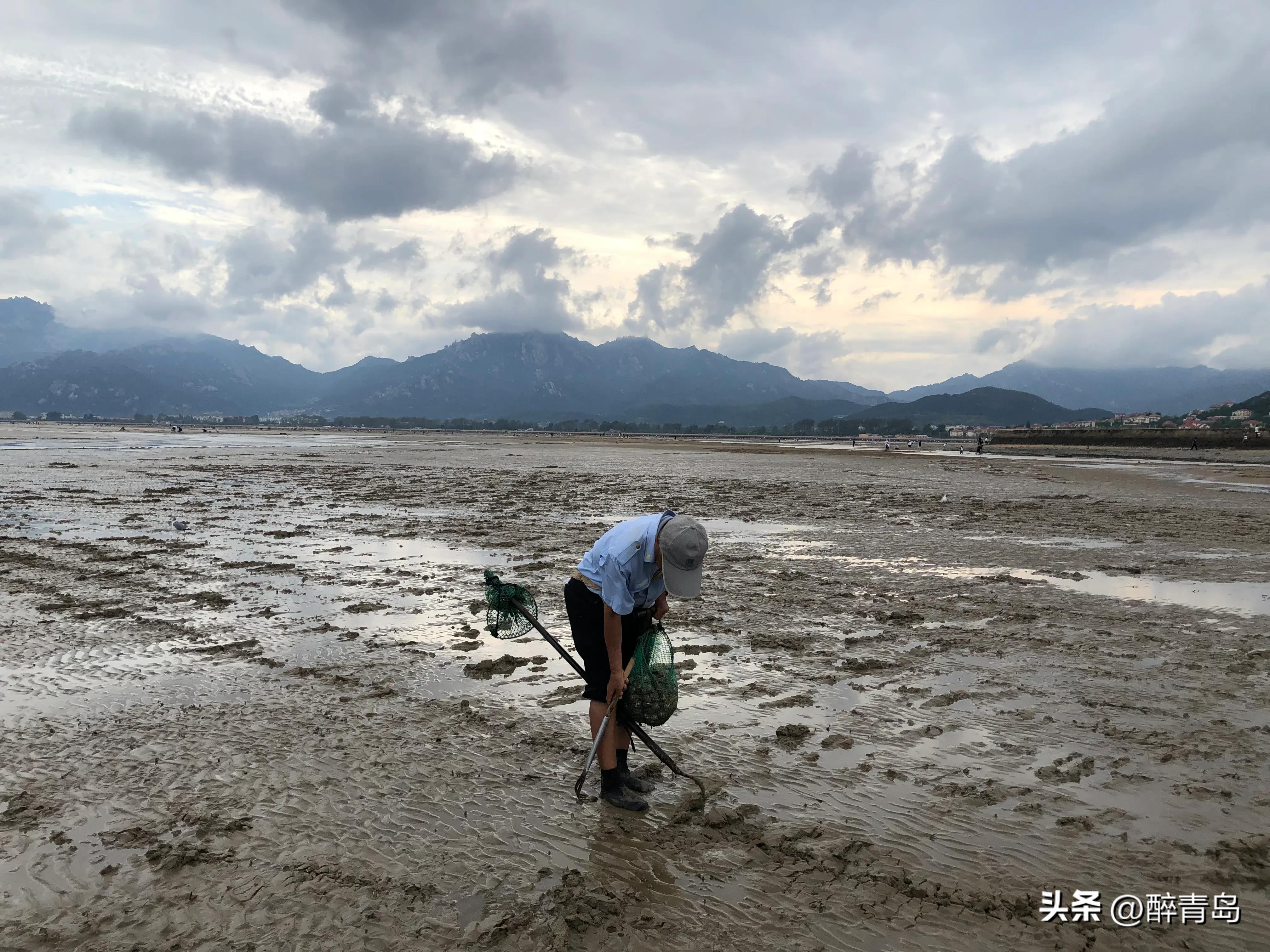 与小海鲜们捉迷藏（篇二）