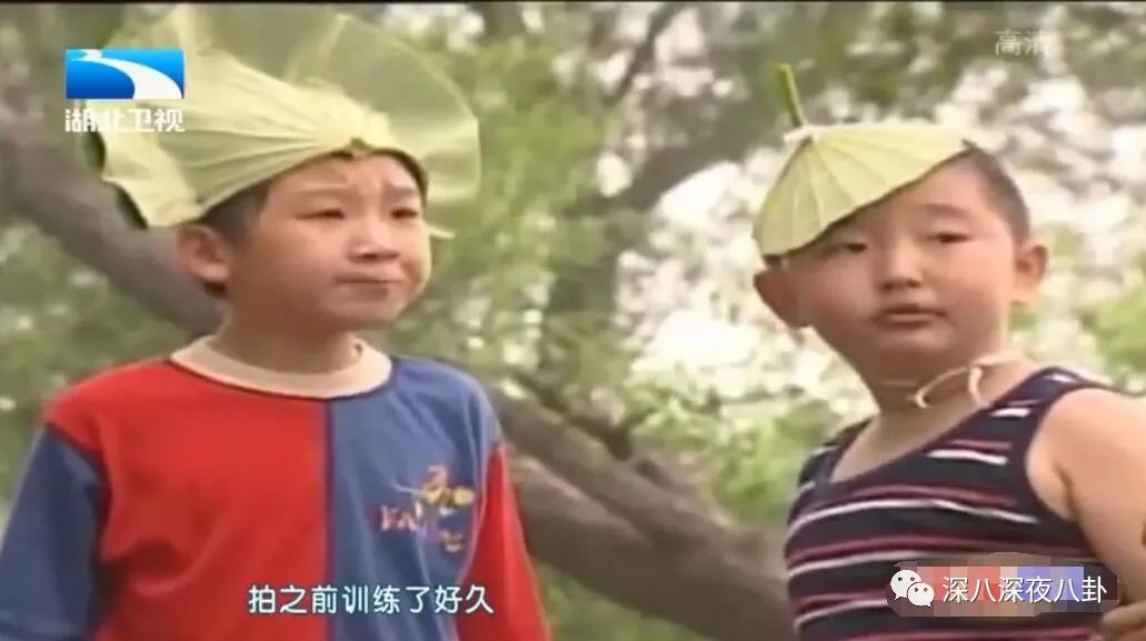 王子腾人物评价,王子腾是男的还是女的