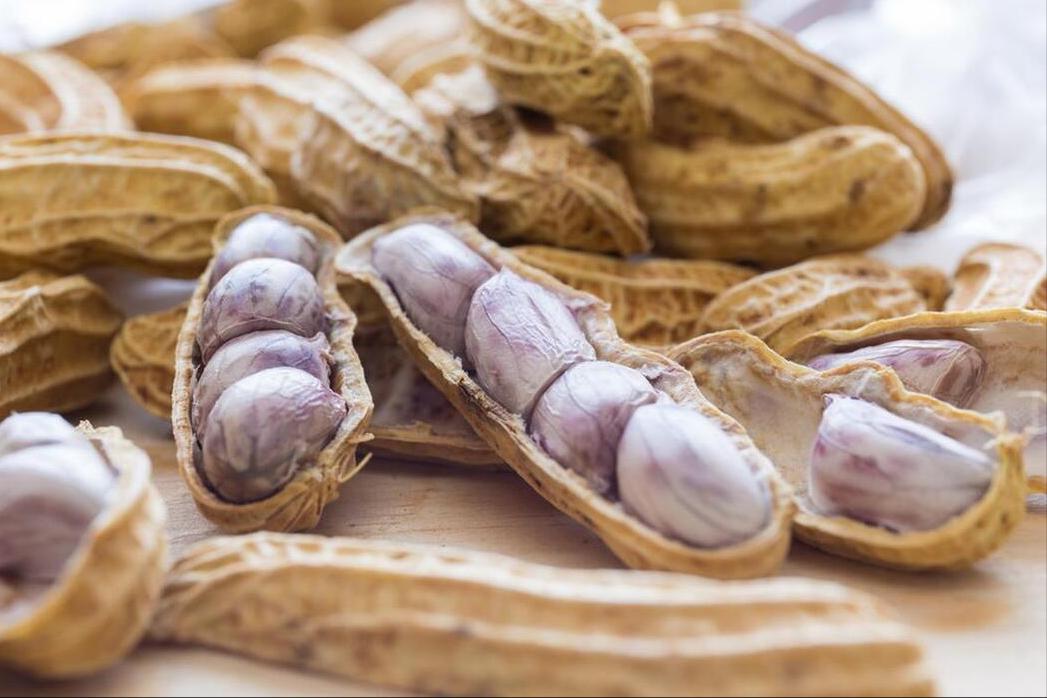 水煮花生为什么煮不软,水煮花生煮好不进味怎么办