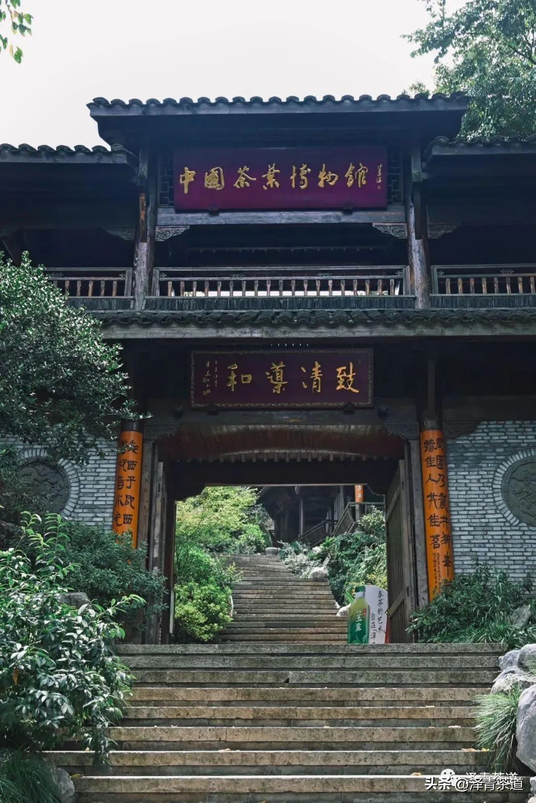 福建中国茶叶第一大省,中国茶叶排名第一省