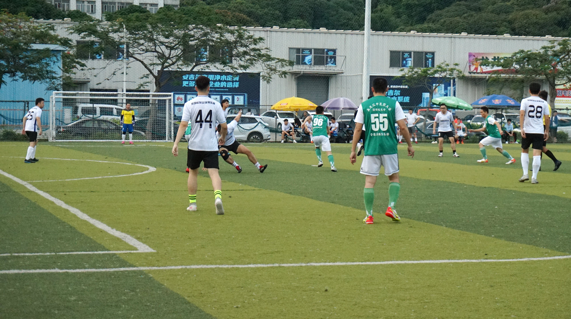 西南财大vs金强,苍狼vs老虎