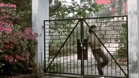 别轻易重温他的电影。会哭