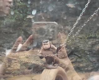 鎾炶劯鏂硅劯鐚村瓙鐨勫コ缃戠孩,鏂硅劯鐚村瓙妯′豢浜虹殑琛ㄦ儏