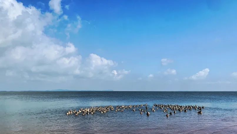 文旅祝大家金榜题名,祝愿上饶所有考生金榜题名