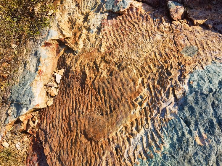 旅顺城山,旅顺城山怎么绕过去