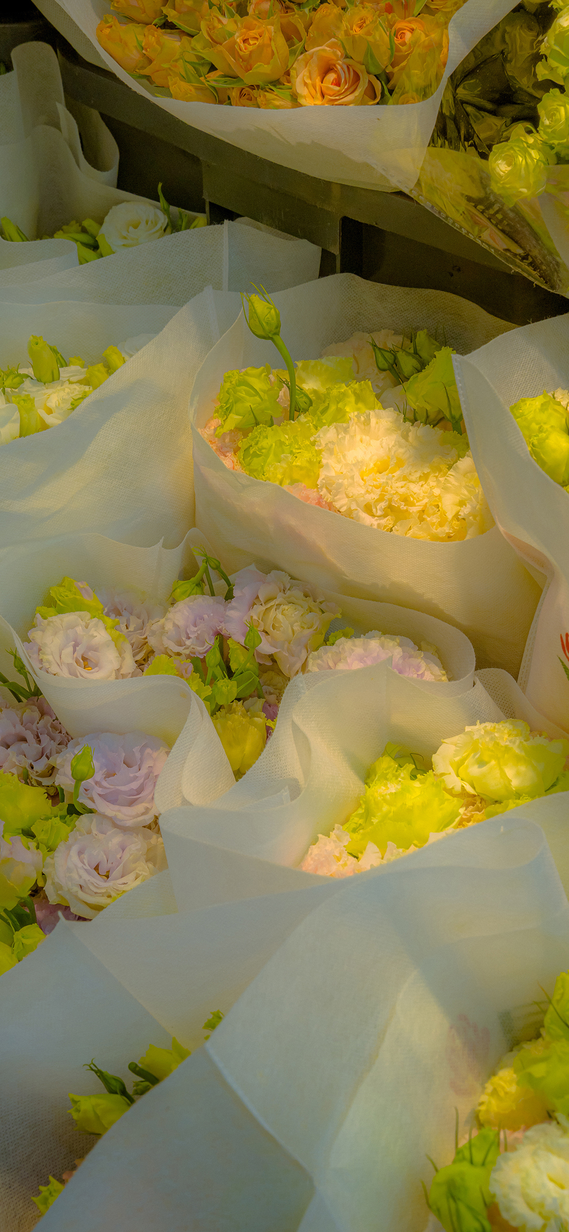 2023年手机壁纸,2023年最新款超清手机壁纸