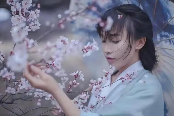 李子柒视频最新外网评论,李子柒最新视频外网评论