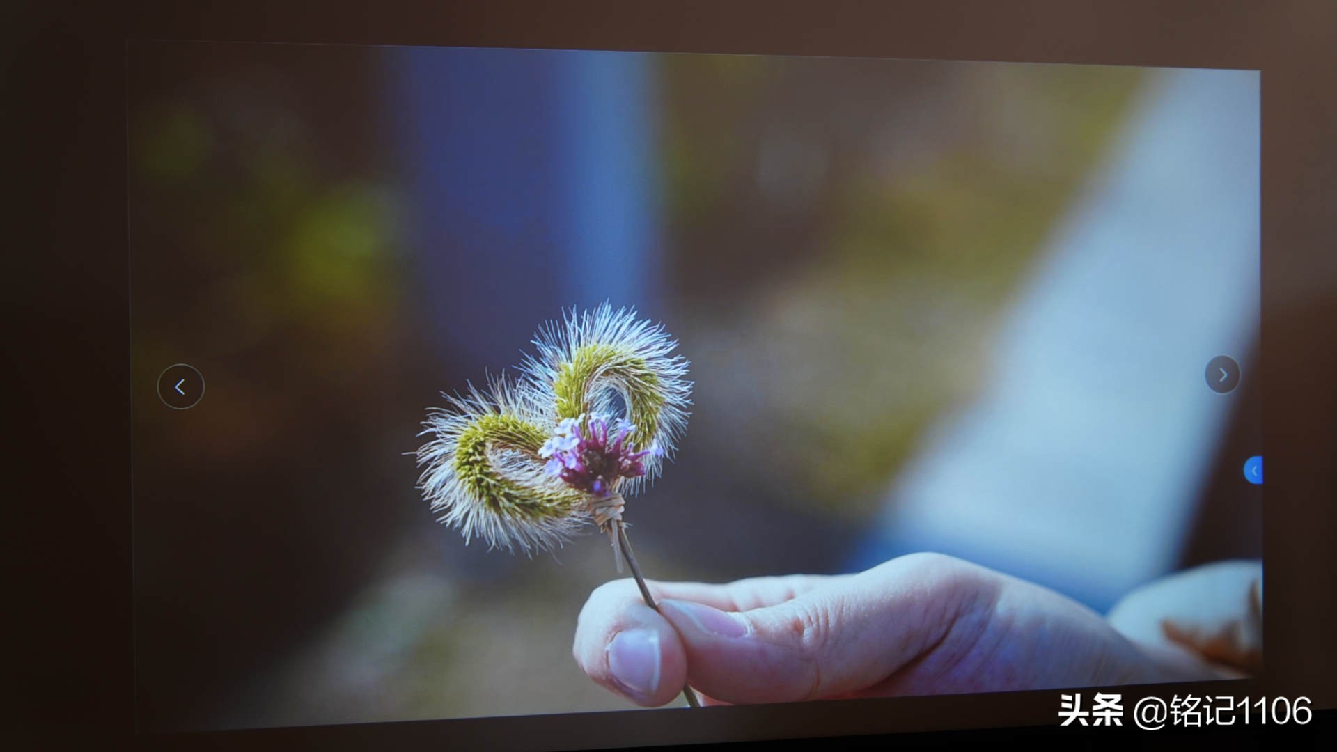 小明q1pro和小米投影仪对比,小明q1pro投影评测