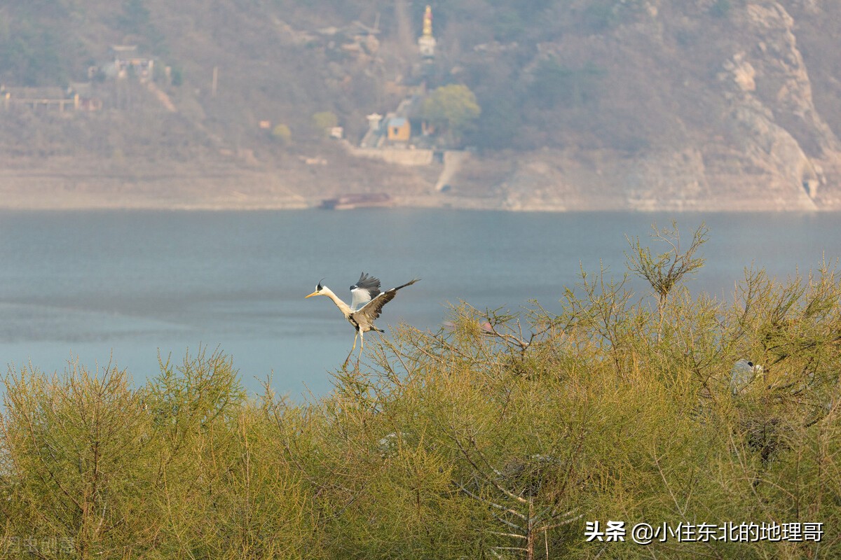 弓长岭经济开发区,弓长岭经济开发区在哪地方