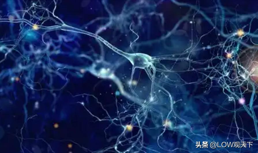 大脑中的神经元多意味着什么,大脑神经元的作用是什么