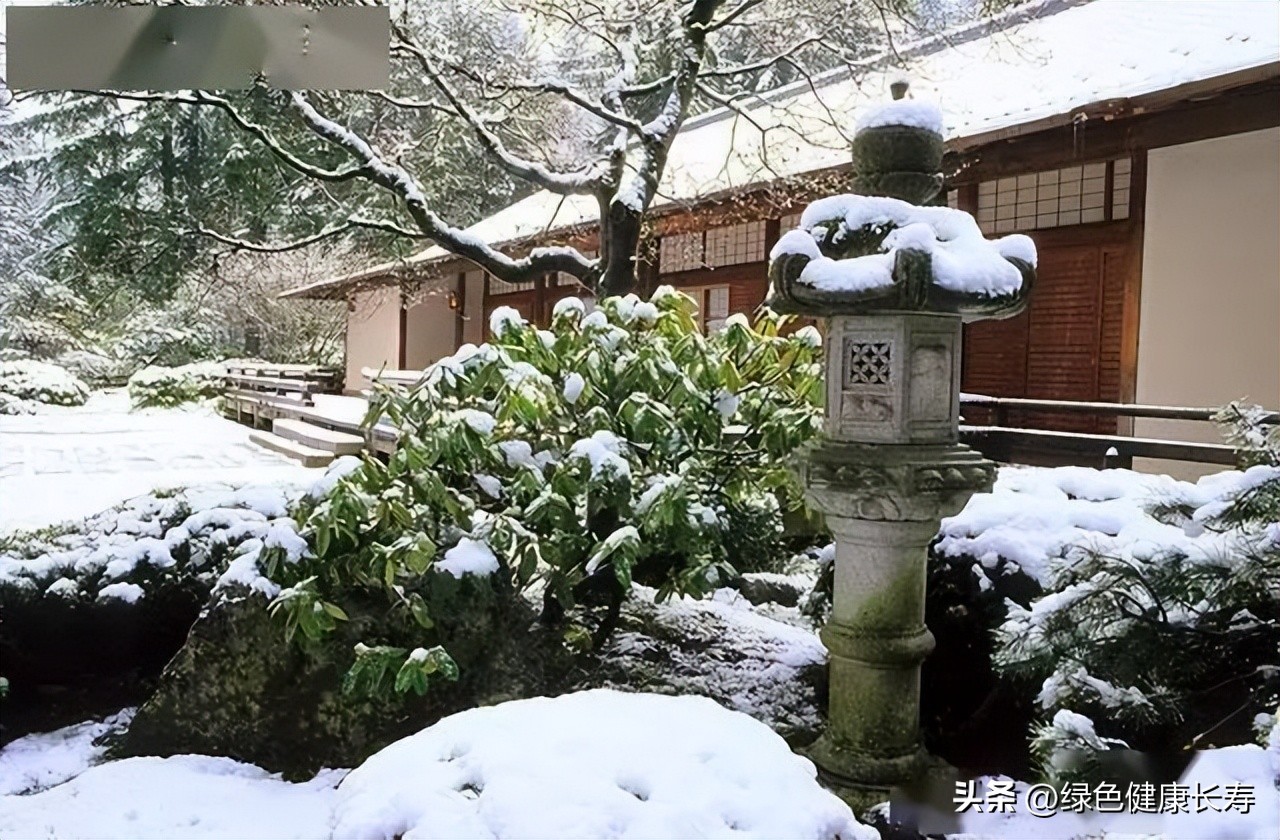 波特兰日本花园游玩,世界花园打卡