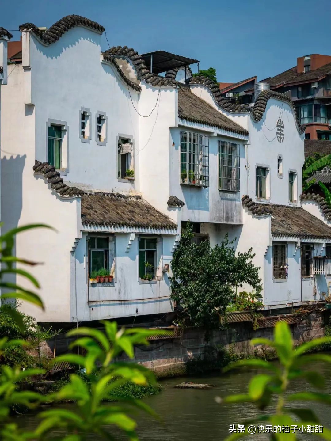 成都三道堰美景,成都三道堰旅游攻略