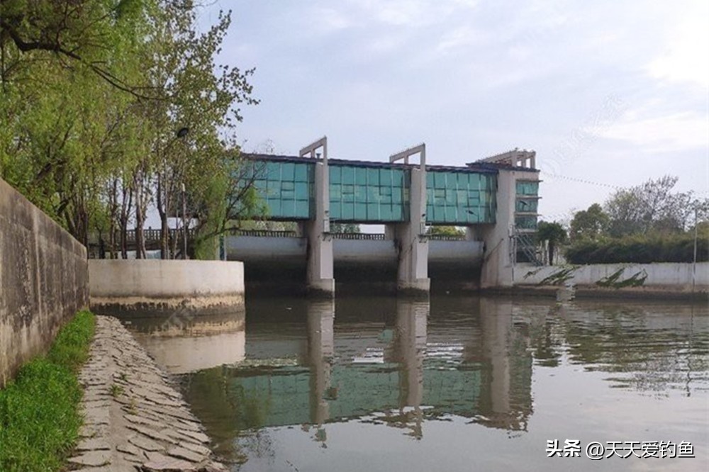 无鱼咬钩钓位图解,冬季野钓无鱼咬钩3种原因