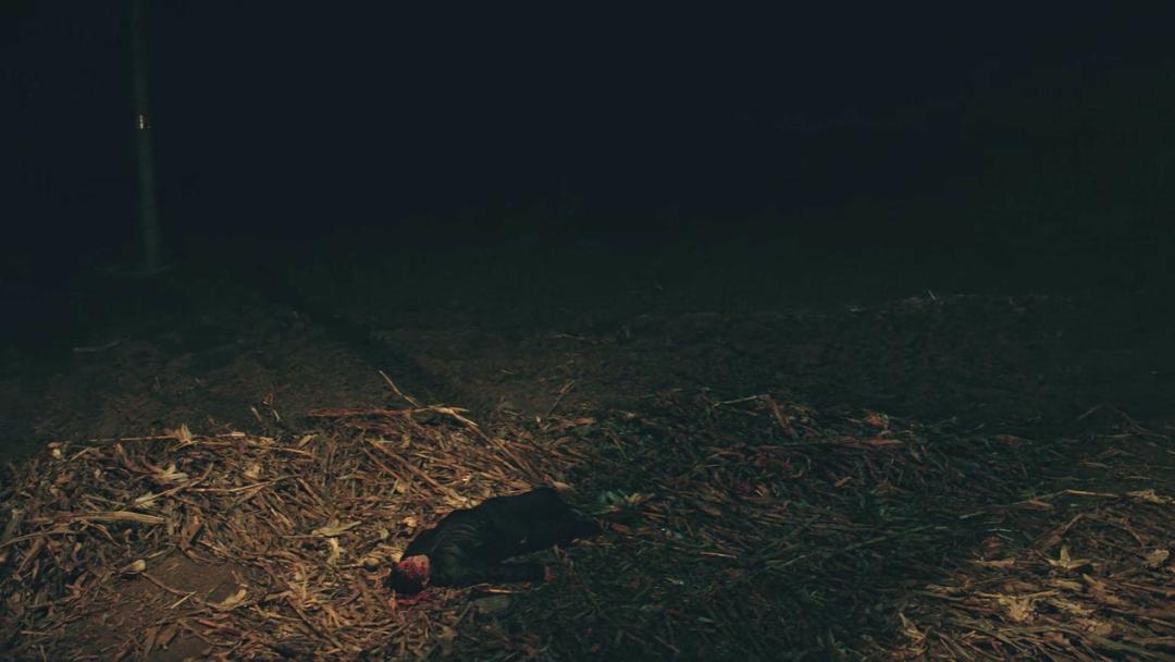 连夜改昵称,连夜改名保平安