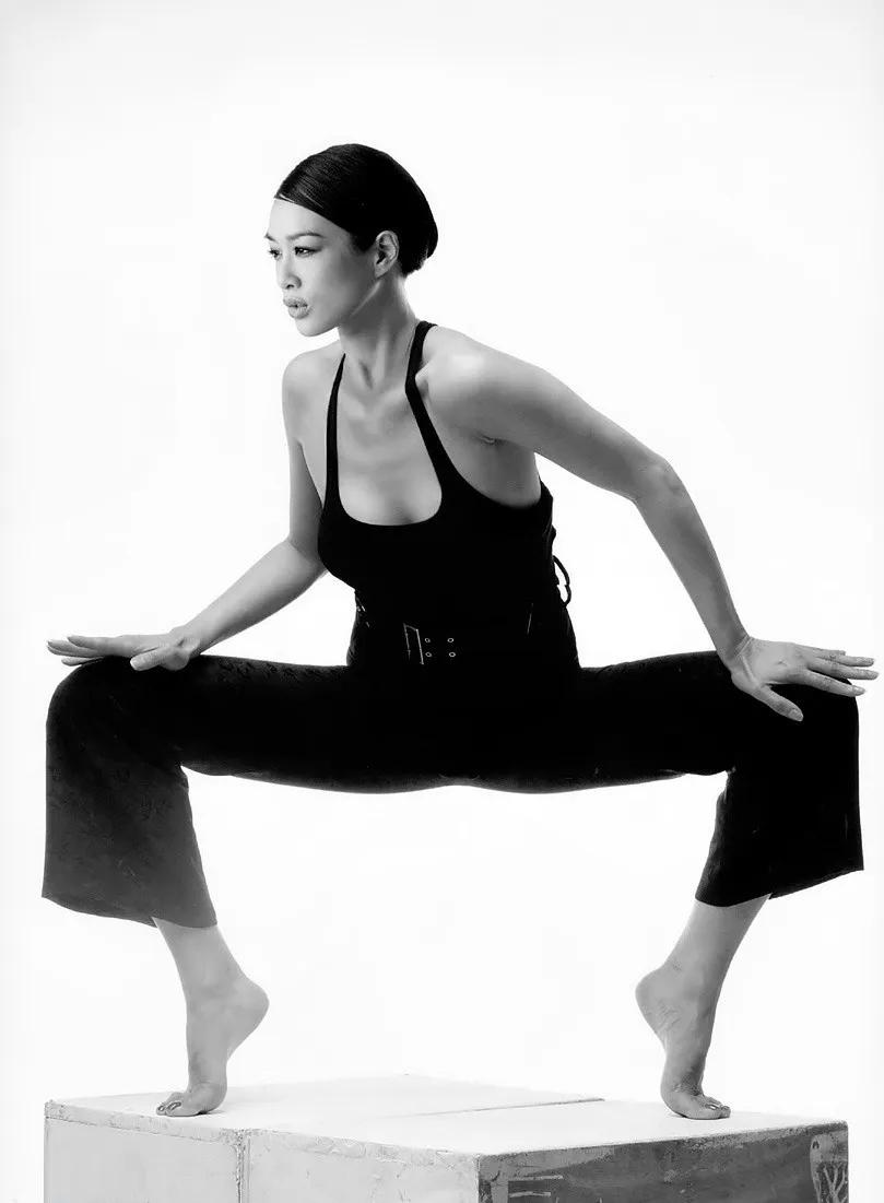 钟丽缇性感唯美写真合集珍藏版