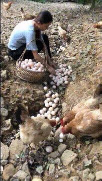 姑娘这么可爱竟然当保安，大叔都忍不住多看两眼，太屈才了: