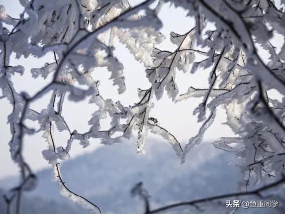 数九天从哪一天开始算,数九天怎么算出来的