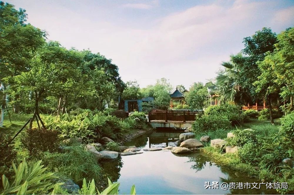 广西研学旅行推荐,2022广西研学旅行方案