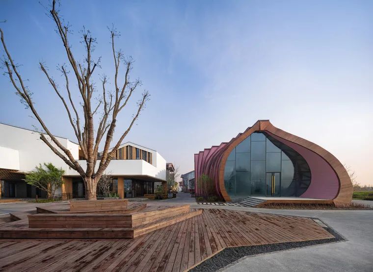 乡村振兴示范村典型案例规划设计,偏远山区乡村振兴示范村典型案例