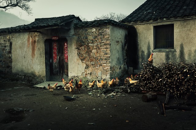 门对窗必遭殃是门遭殃还是窗遭殃,俗语门对窗人遭殃