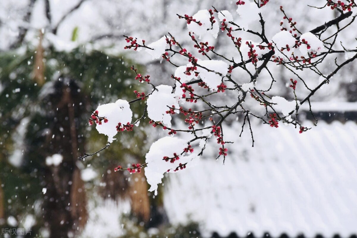 8句唯美春日诗词邂逅最美春愁,品读好诗词春天的诗