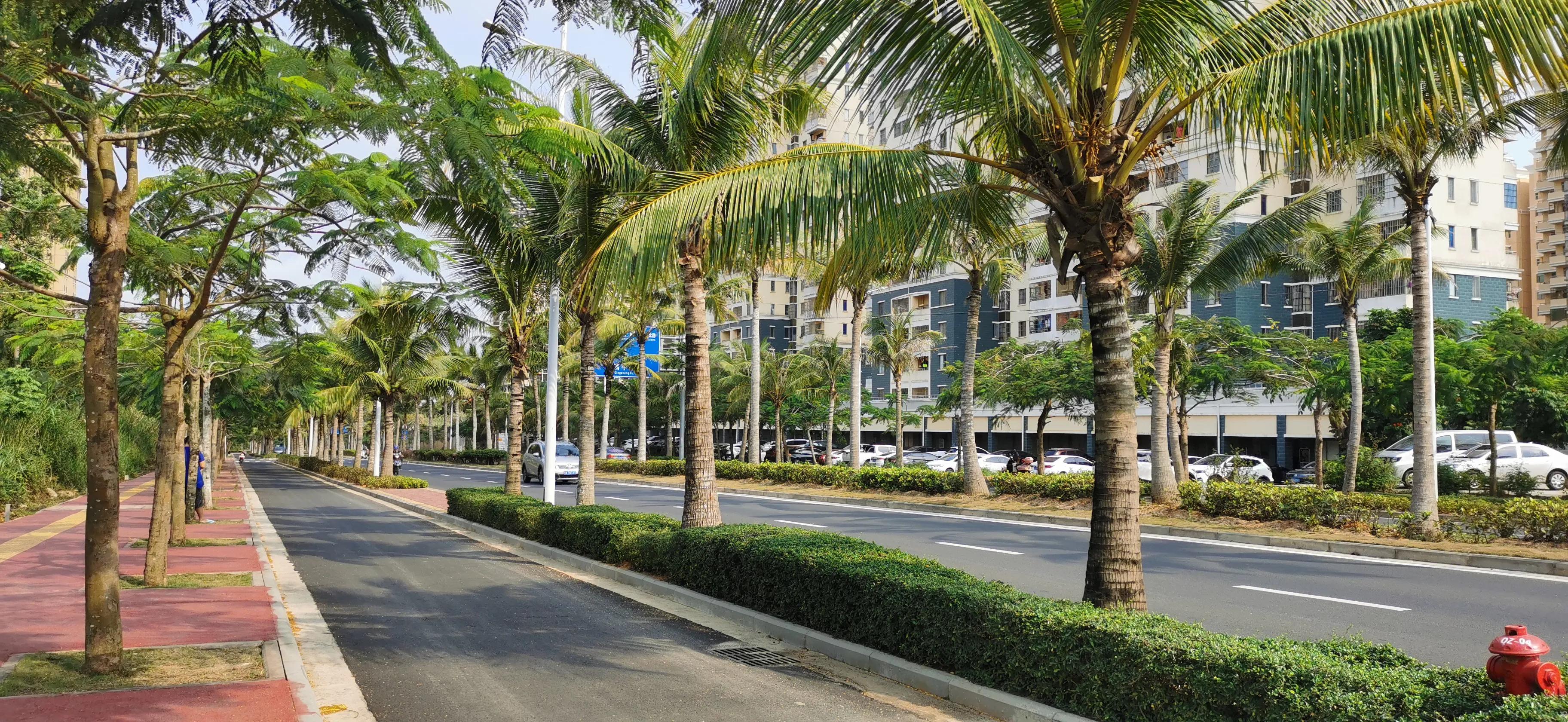 文昌椰林在哪里,文昌椰林靠海吗